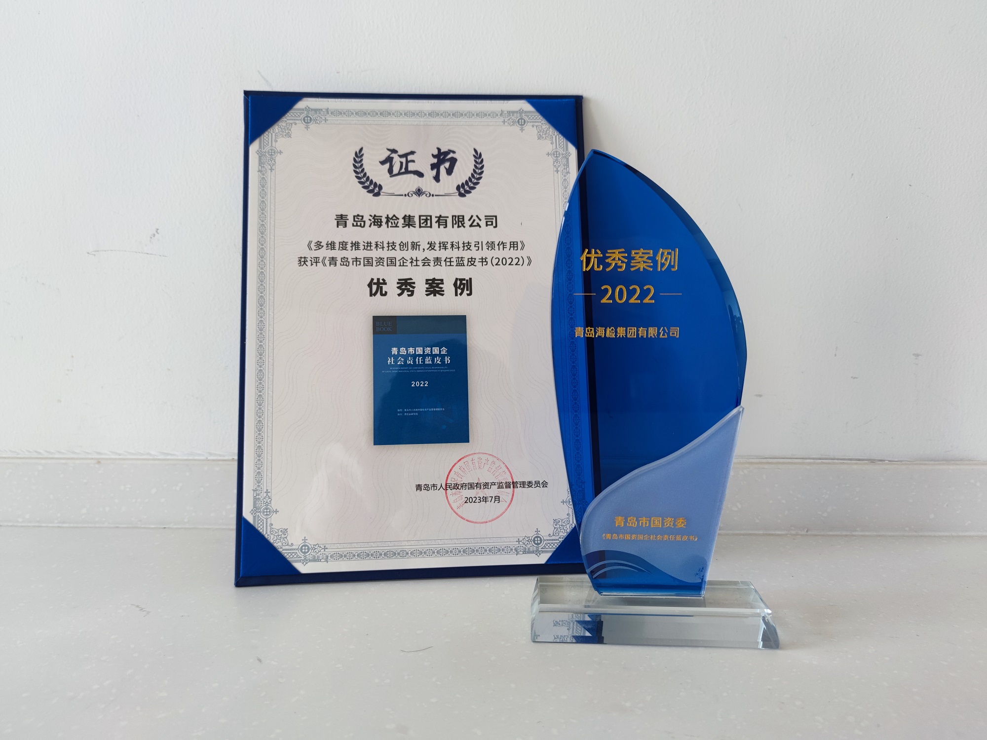 1691629381804553.jpg 蓝皮书获奖.jpg